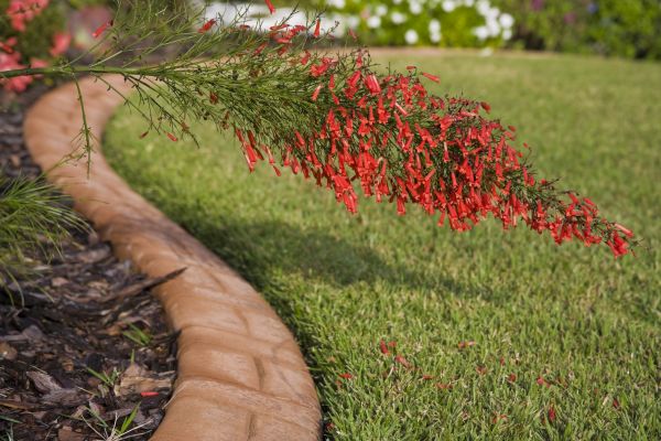 Brick Edging in Seminole
