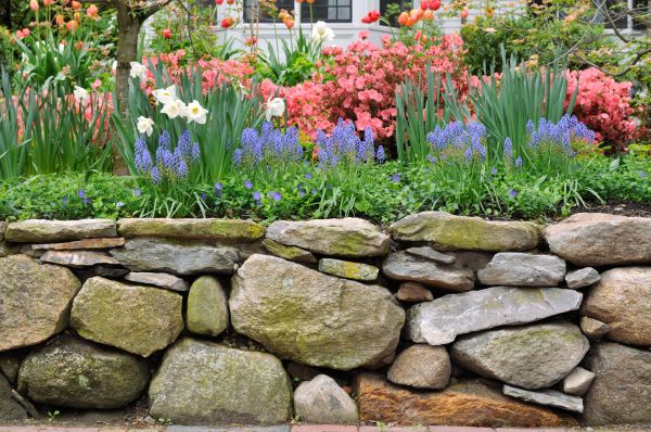 Stone Wall Hardscaping in Seminole