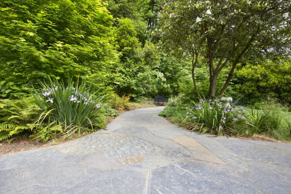 Stone Hardscape Service in Seminole
